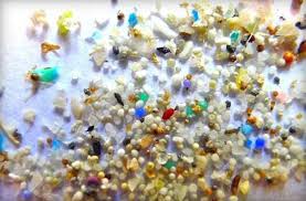 海洋微塑料——“微”力不小！